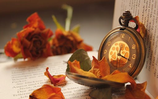 Pocket Watch: Let's Dig Out The Past