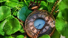 Working Of Pocket Watches